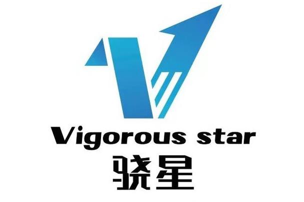 浙江驍星科技 數字化轉型中的專業信息咨詢服務與價值創造